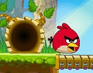 Angry Birds Kaçış