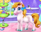 Pony Spa Salonu