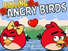 Yuvarlanan Angry Birds