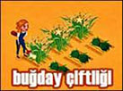 Buğday Çiftliği